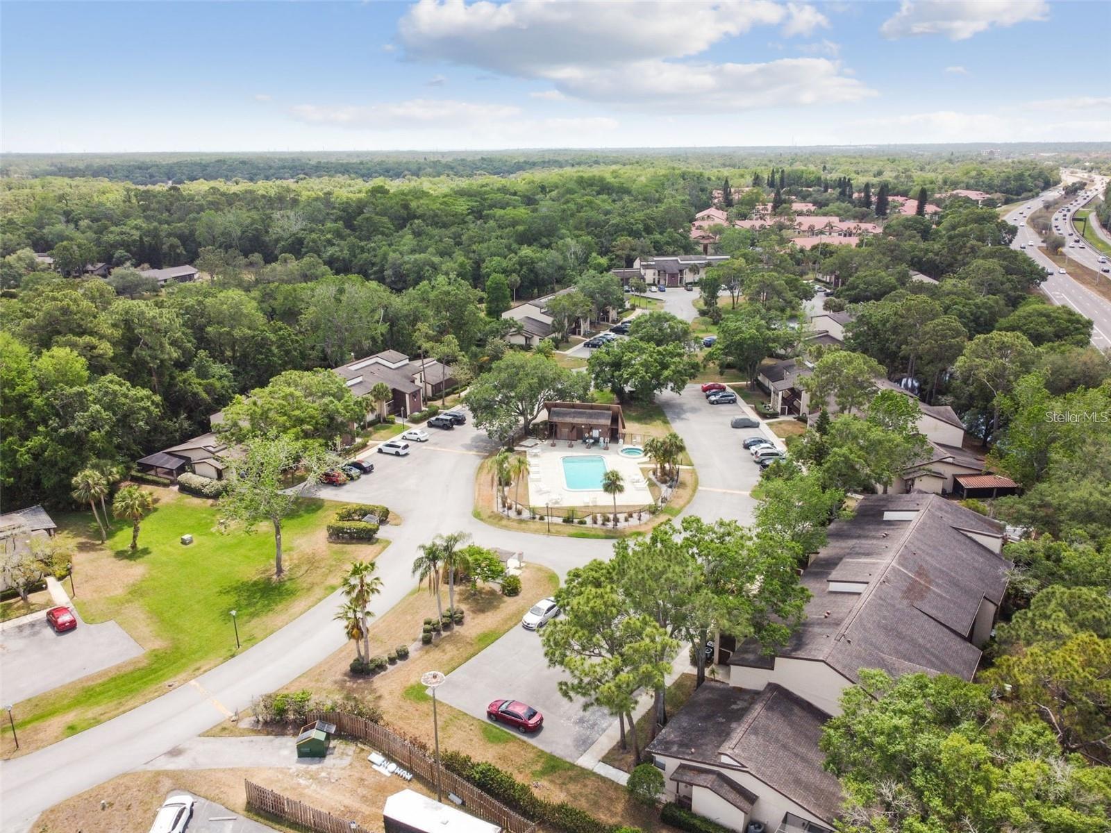 TARPON WOODS CONDO 3 - Residential Lease