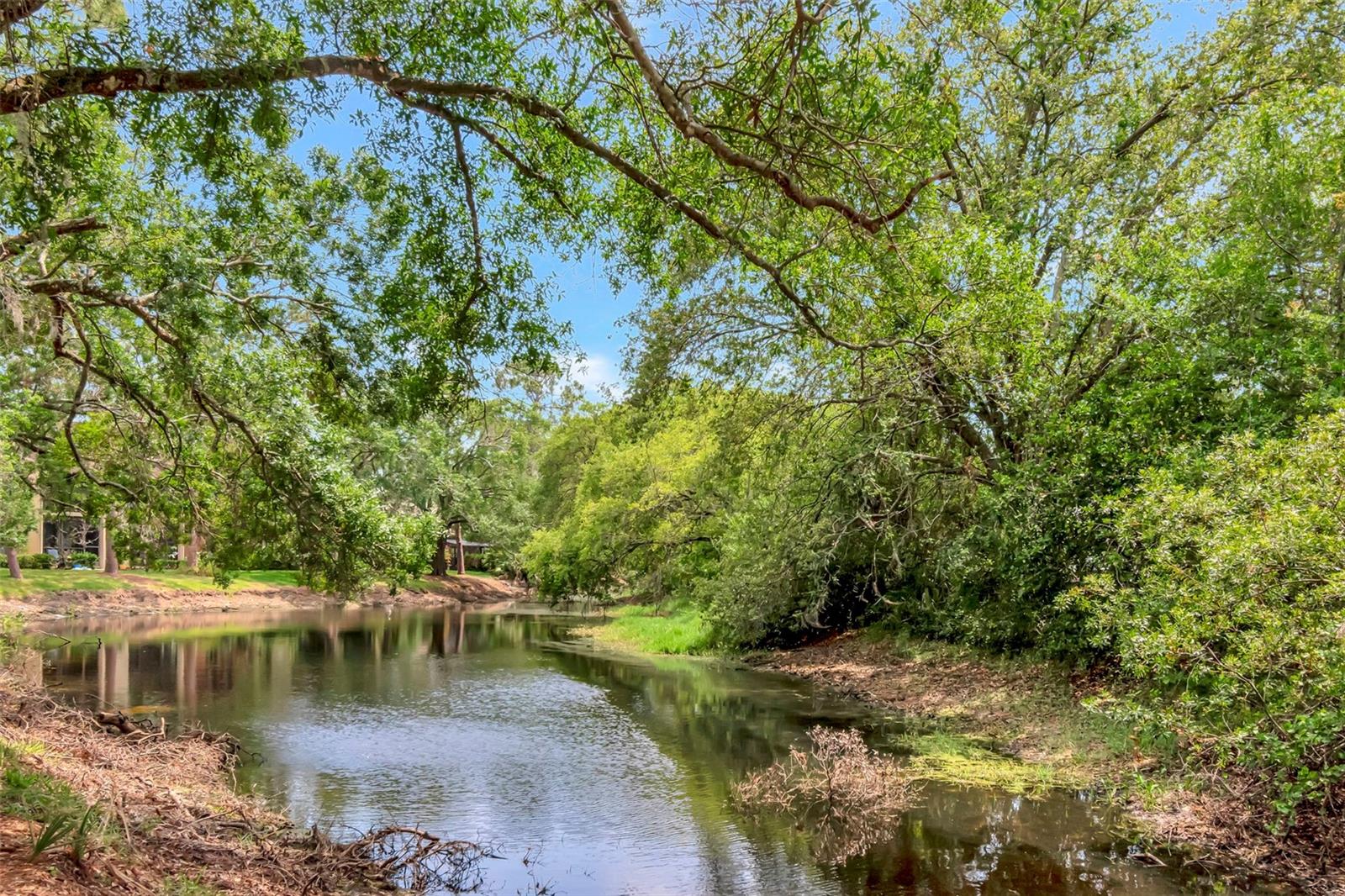 TARPON WOODS CONDO 3 - Residential Lease