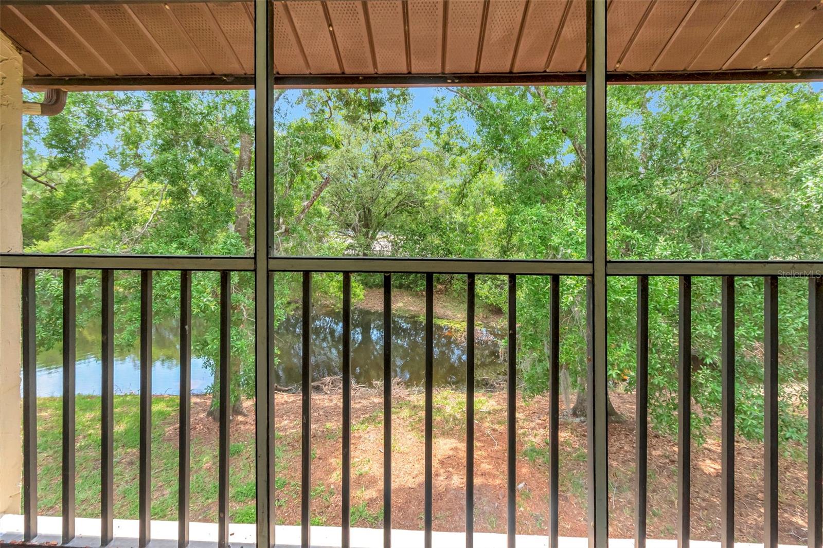TARPON WOODS CONDO 3 - Residential Lease