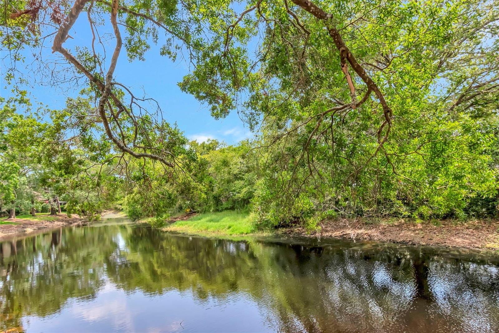 TARPON WOODS CONDO 3 - Residential Lease
