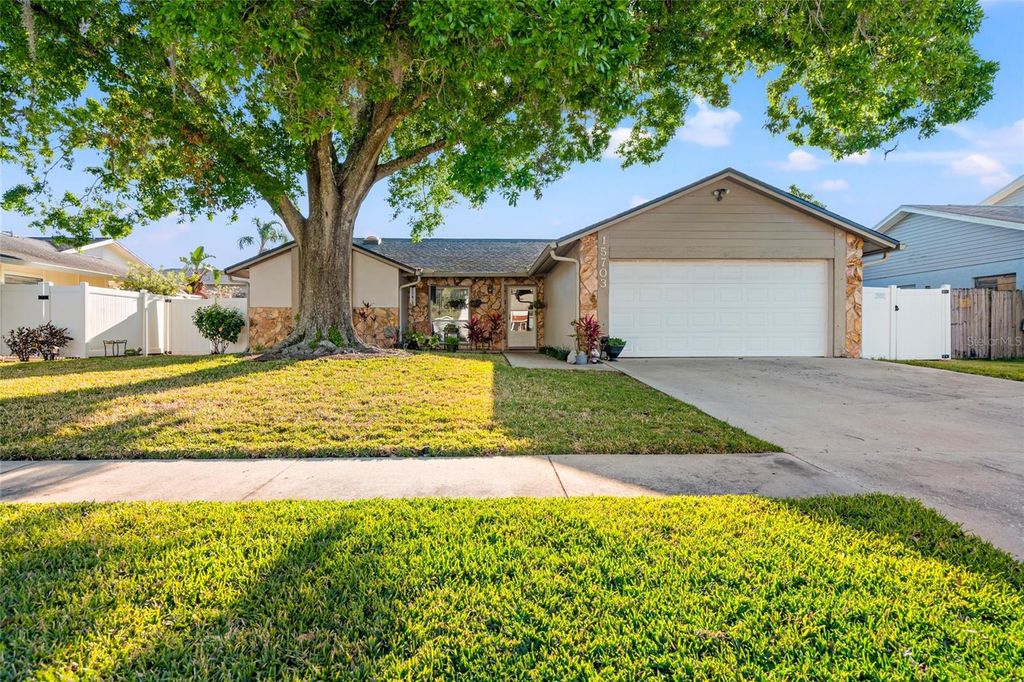 Photo of 15703 Bovine Place, Tampa, FL 33624 (MLS # TB8371233)
