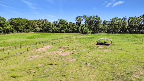 Tiny photo for 20540 SW 5th Place, Dunnellon, FL 34431 (MLS # OM725007)