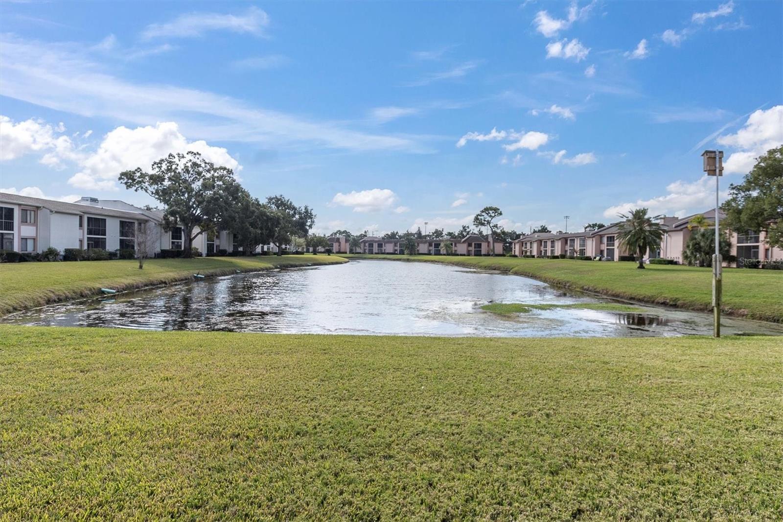 EAST LAKE WOODLANDS CONDO - Residential