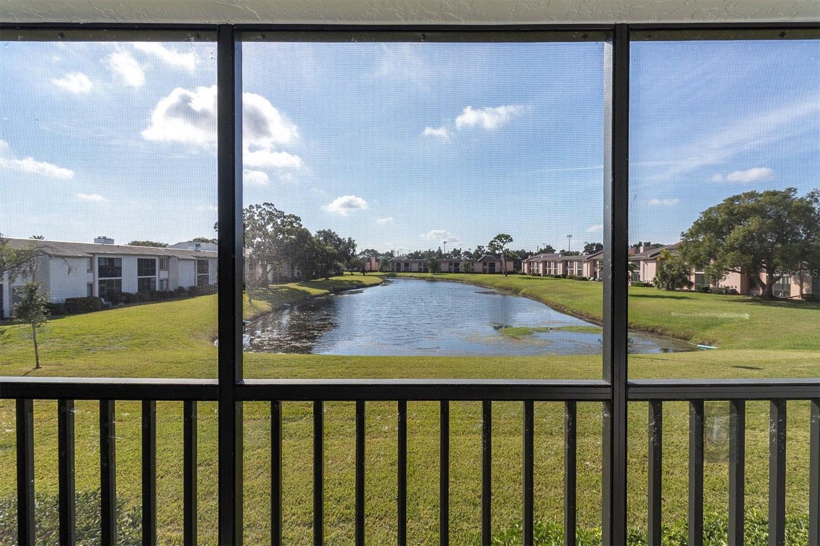 EAST LAKE WOODLANDS CONDO - Residential