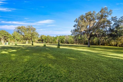Tiny photo for 14825 NW 145th Avenue, Williston, FL 32696 (MLS # OM717596)