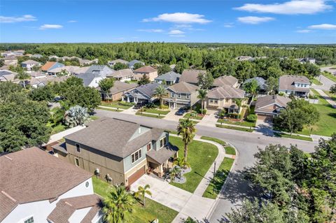 A home in LAND O LAKES