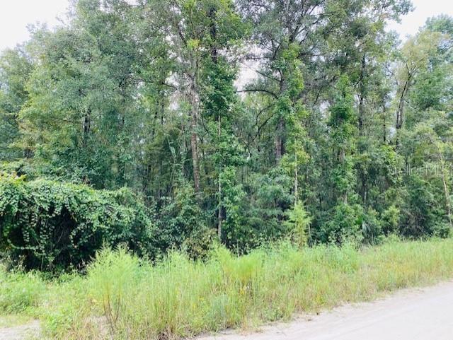 Discover your dream property with this wooded 4.75-acre tract in Old Town, FL! Perfect for your new site-built or manufactured home, this serene location offers the best of both worlds—privacy and convenience. Just minutes from the Suwannee River and a quick 30-minute drive to the Gulf, outdoor adventures await at your doorstep. You'll appreciate being less than 10 minutes from schools, shopping, and restaurants, all while enjoying the peaceful escape from the hustle and bustle of city life. Don’t miss the opportunity to make this slice of paradise yours—schedule a visit today!