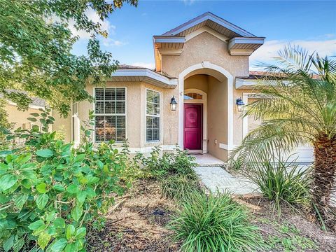 A home in WIMAUMA