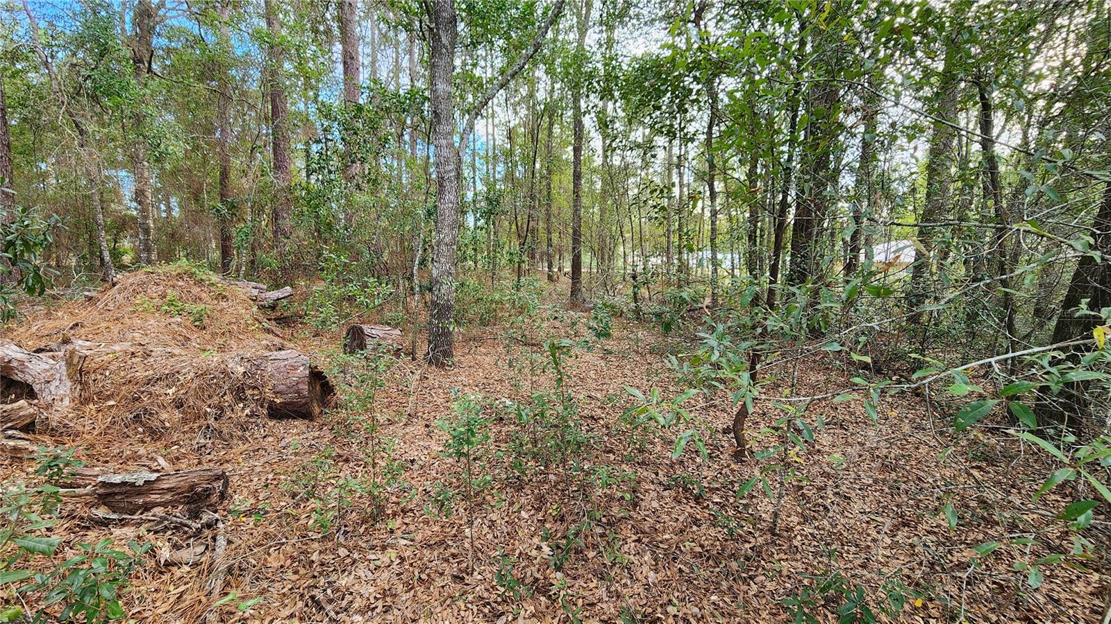 CITRUS SPGS UNIT 14 - Land