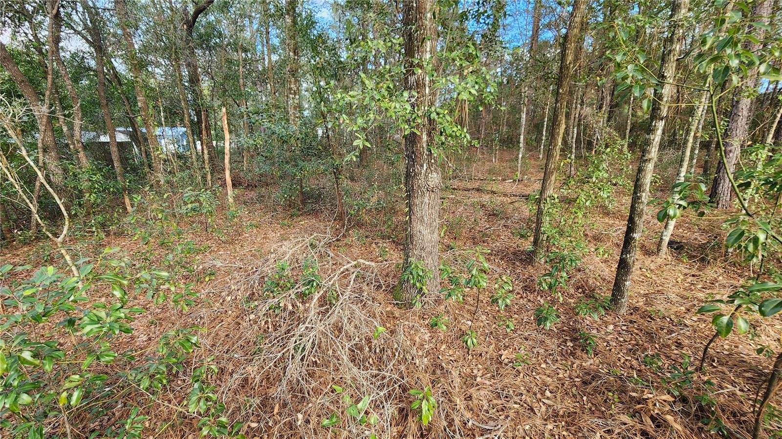 CITRUS SPGS UNIT 14 - Land