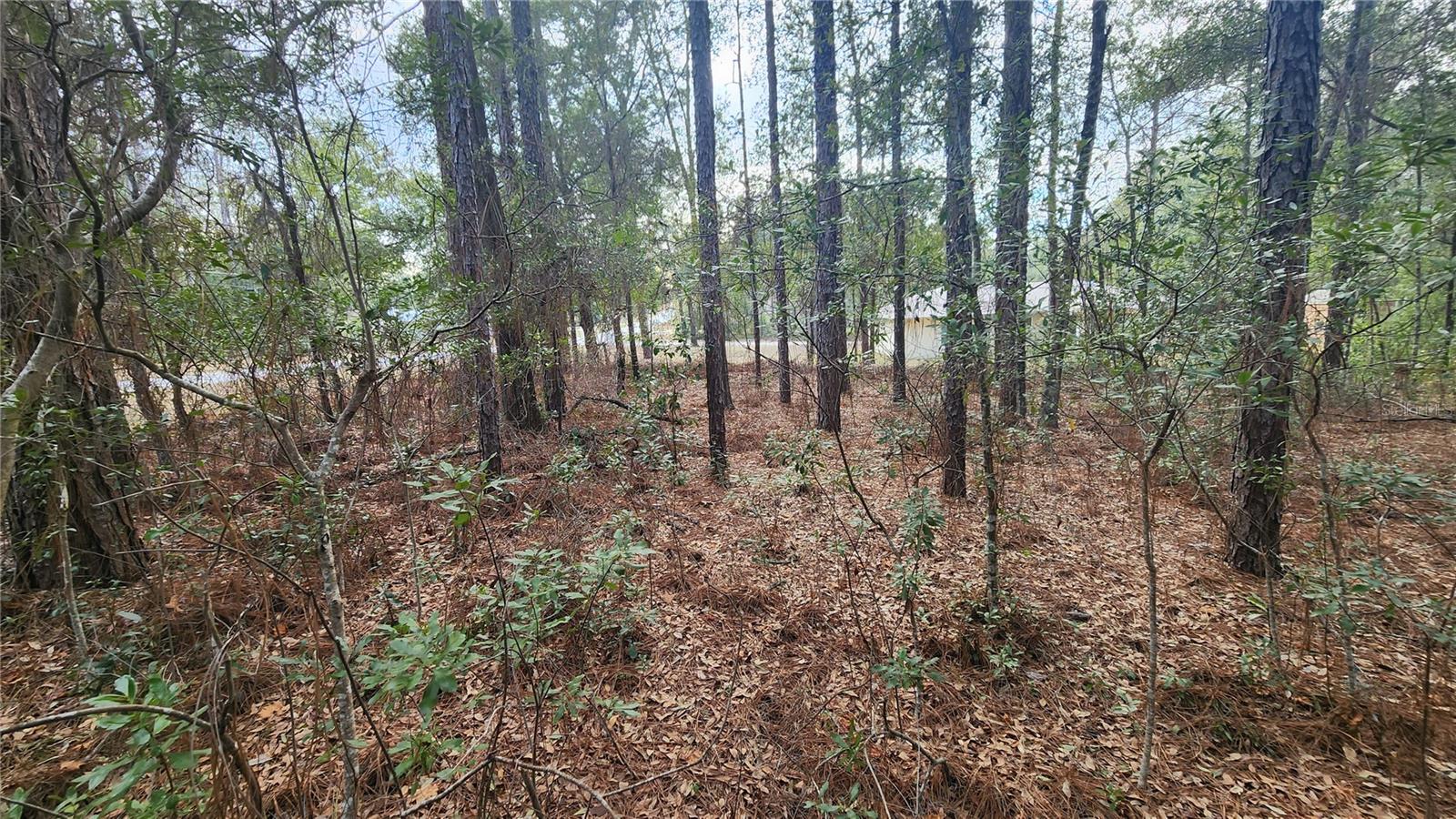 CITRUS SPGS UNIT 14 - Land