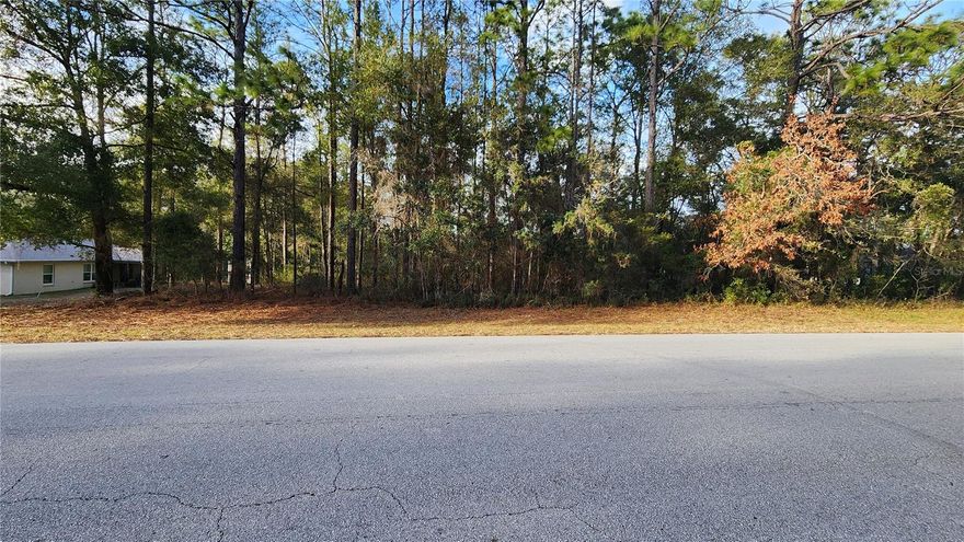 Beautiful homesite on smooth paved road in the growing subdivision of Citrus Springs. Deed restrictions but no HOA fees and all of the homes are well maintained, making Citrus Springs a very desirable and wholesome place to create memories for and with your family. Neighborhood features include close proximity to the famous Withlacoochee State Trail for biking, hiking and great nature walks. Plus, a community park w/Basketball, Baseball Field, Playground, Picnic Pavillion, Community Center for social events, and Lighted Tennis Courts. The golf course includes a restaurant, putting green and driving range for hours of relaxing fun. It is conveniently located just minutes from boating, fishing, diving, beautiful freshwater springs, restaurants, shopping, medical services, supermarkets and more!