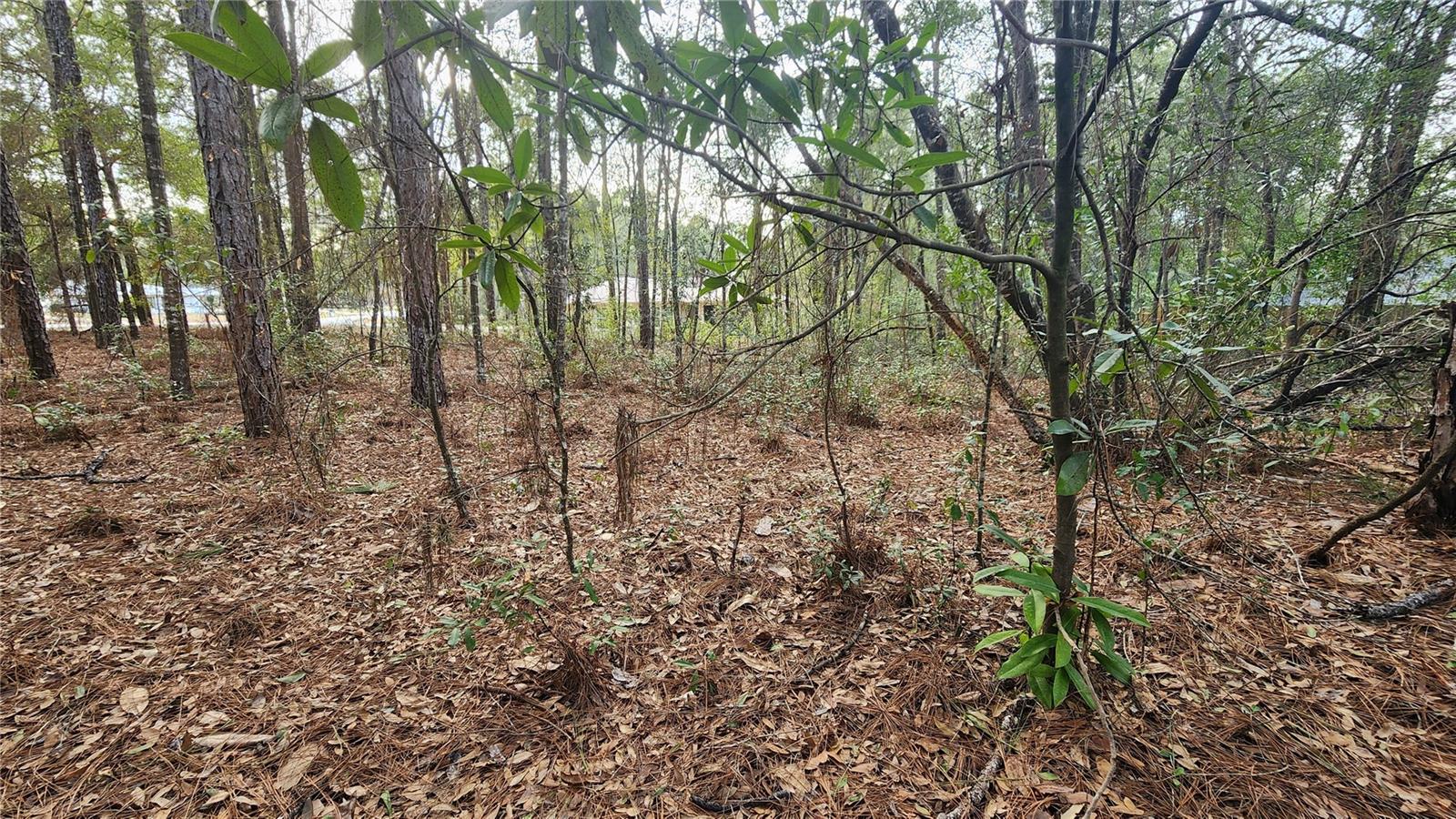 CITRUS SPGS UNIT 14 - Land