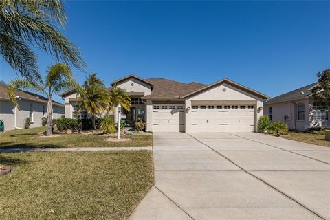 1710 LAKESTONE DRIVE TRINITY FL 34655