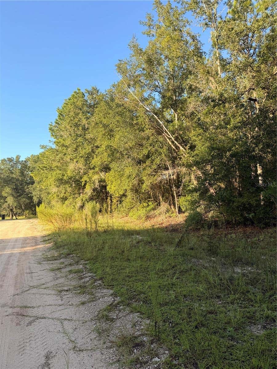Photo of 115 Orange Tree Court, Melrose, FL 32666 (MLS # TB8538070)