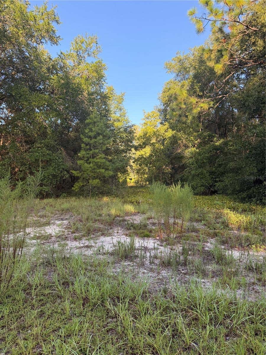 Photo of 115 Orange Tree Court, Melrose, FL 32666 (MLS # TB8538070)