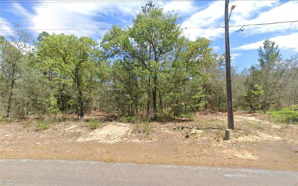 Photo of 149 Pine Street, Homosassa, FL 34446 (MLS # TB8453117)