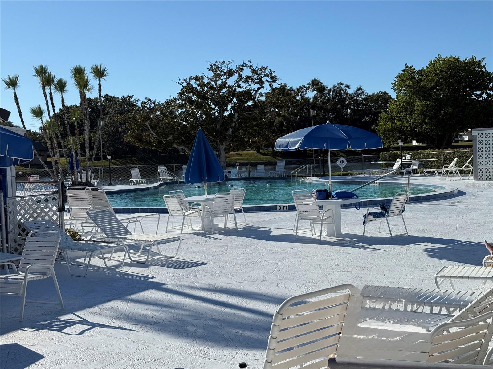 SEMINOLE GARDEN APTS CO-OP - Residential Lease