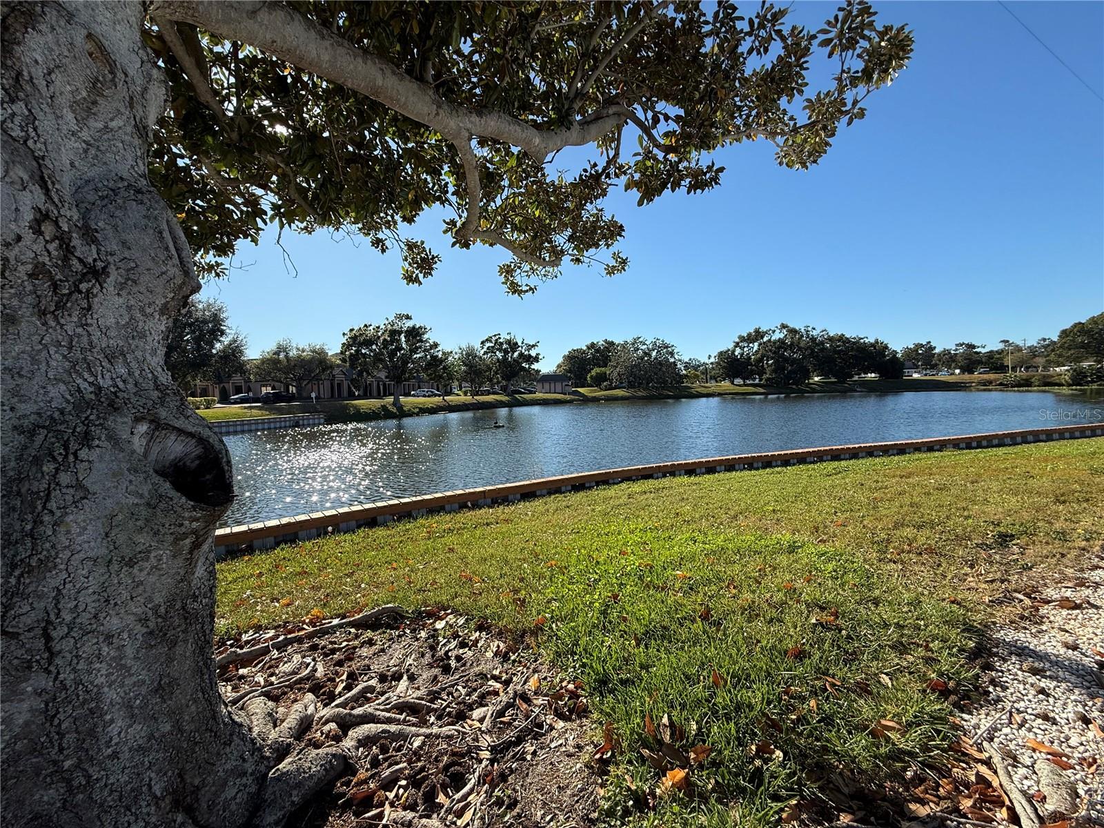 SEMINOLE GARDEN APTS CO-OP - Residential Lease