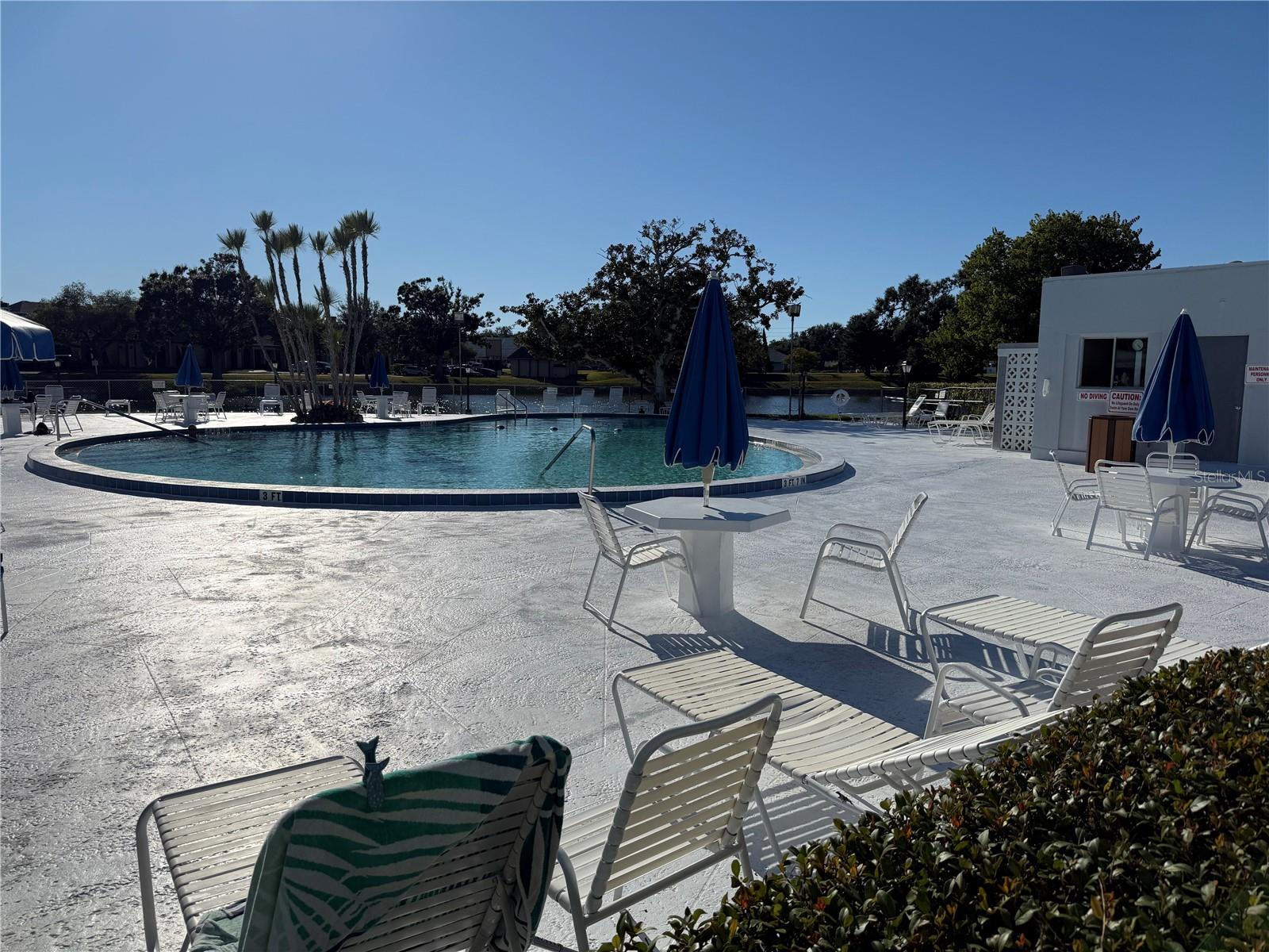 SEMINOLE GARDEN APTS CO-OP - Residential Lease