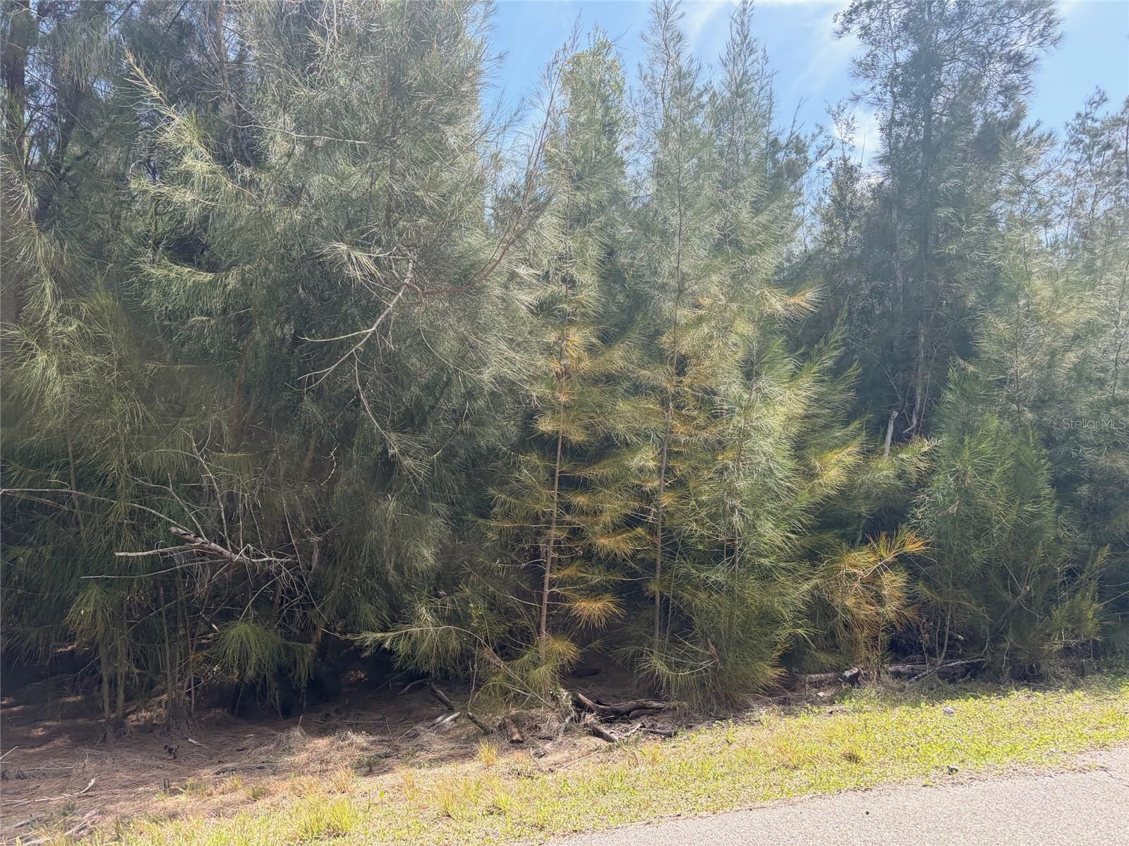 12088 ESTRELLA BOULEVARD