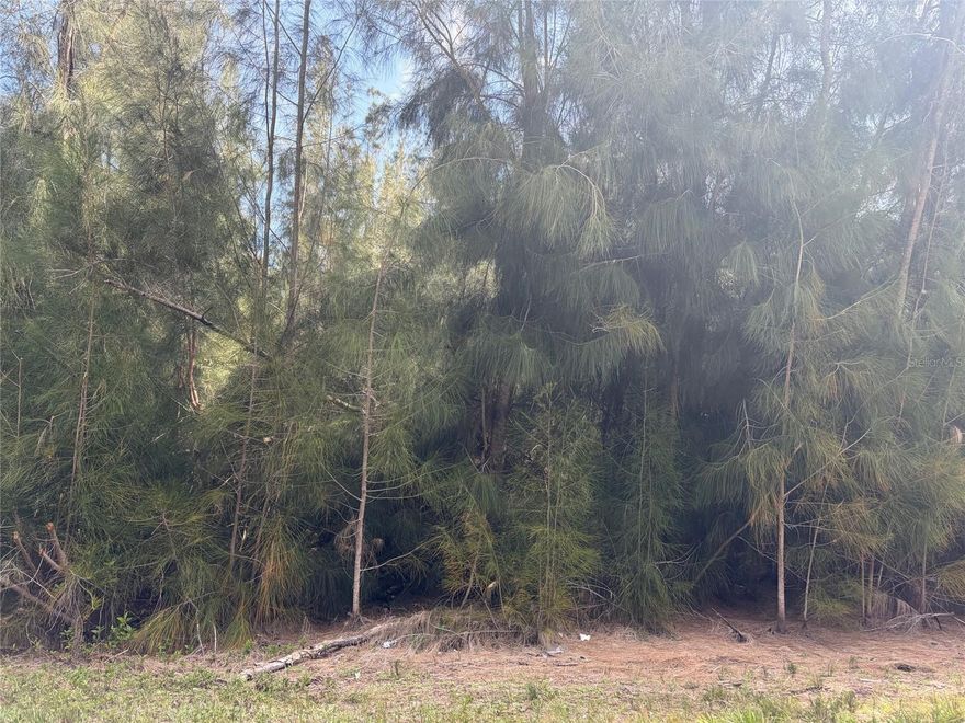 Discover the perfect opportunity to build your dream home or investment property on this beautiful double-parcel lot totaling 0.33 acres. Nestled along a scenic pond, this property offers a serene natural setting with tranquil water views-ideal for creating your own private retreat. 
Conveniently located just minutes from interstate 75, this land provides easy access for commuting while still maintaining a peaceful, tucked-away feel. You'll also enjoy close proximity to shopping, dining, and everyday essentials. 
With two parcels included, there's added flexibility for development, expansion, or future investment potential. Whether you're looking to build now or hold for later, this property combines location, versatility, and natural beauty in one attractive package. 
Don't miss this chance to own a slice of Florida paradise with water views and unbeatable convenience.