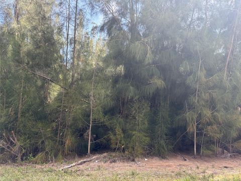 Photo of 12088 Estrella Boulevard, Punta Gorda, FL 33955 (MLS # C7524808)