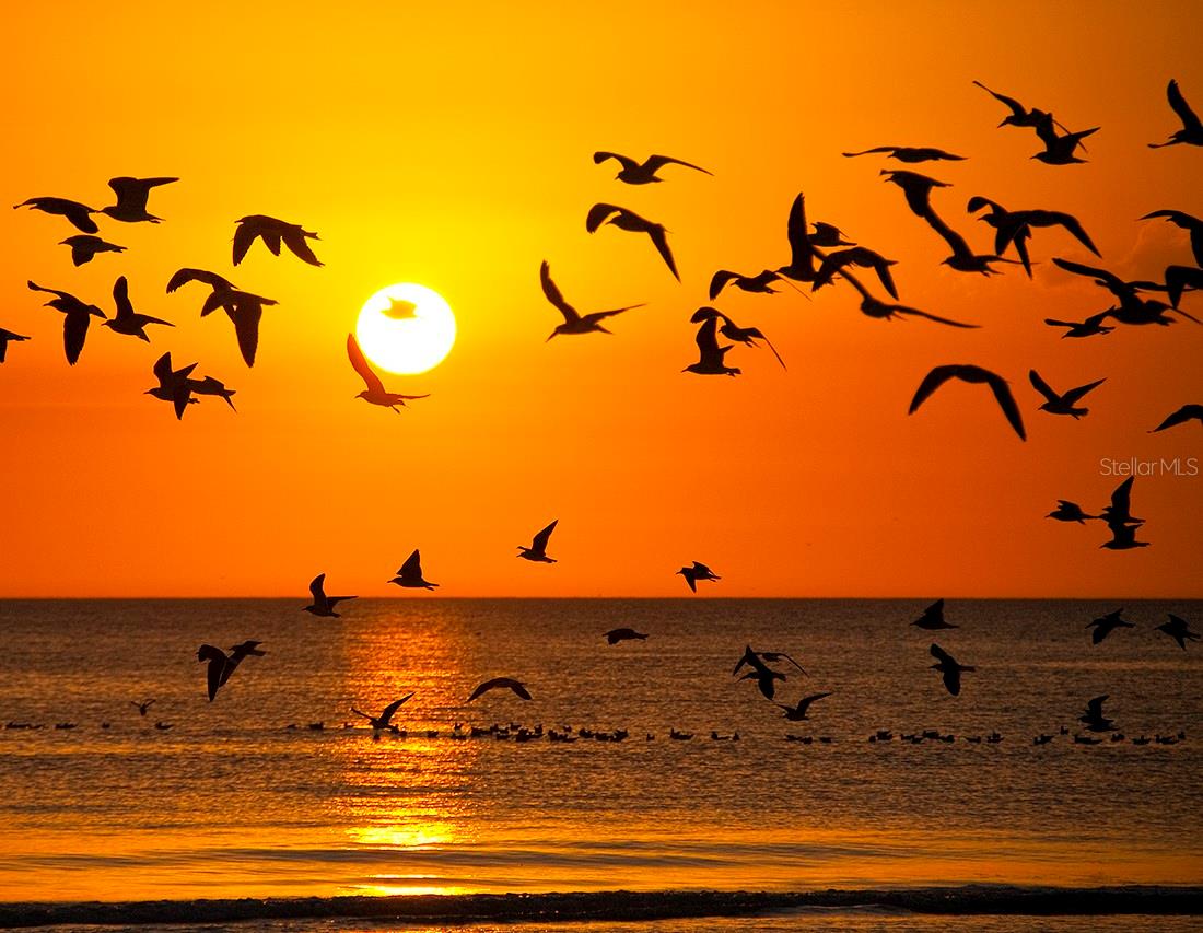 BROOKSIDE 2 - Residential