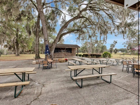 Tiny photo for 9092 SW 192nd Court Road, Dunnellon, FL 34432 (MLS # OM726303)