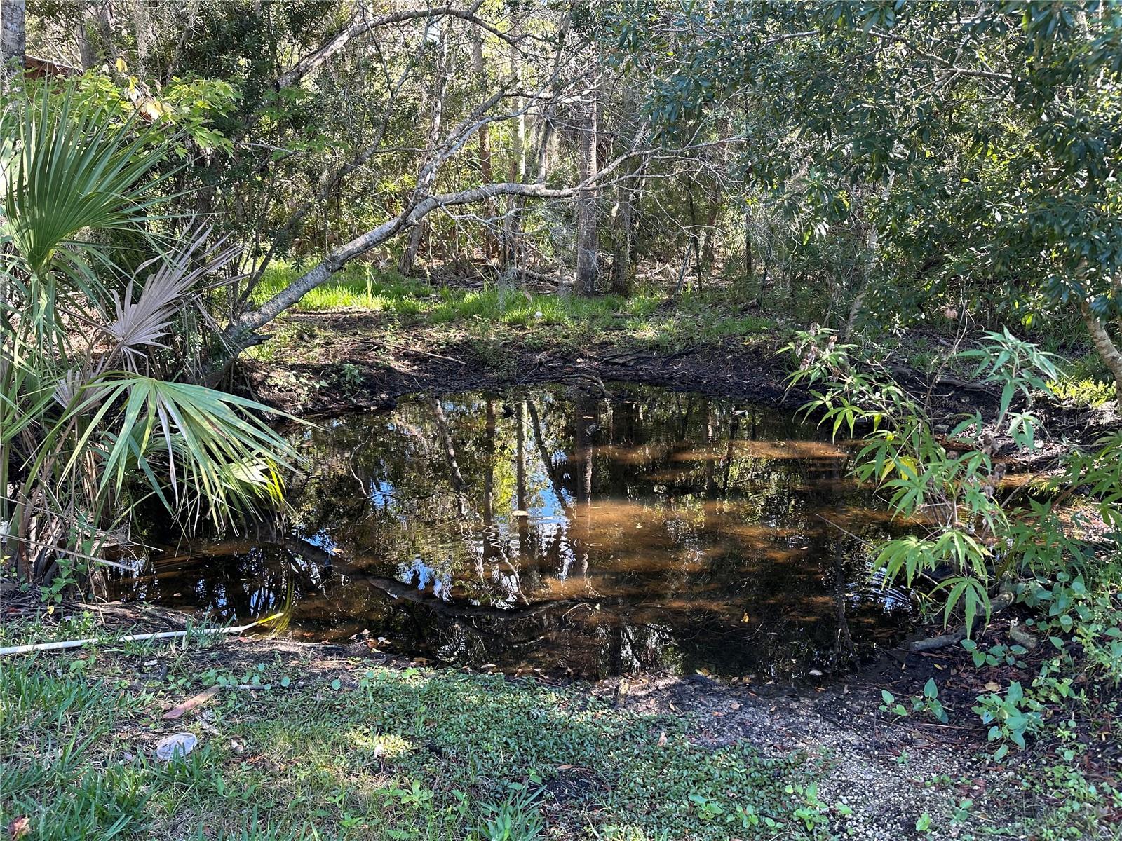 HARDWOOD HAMMOCK UNREC - Residential