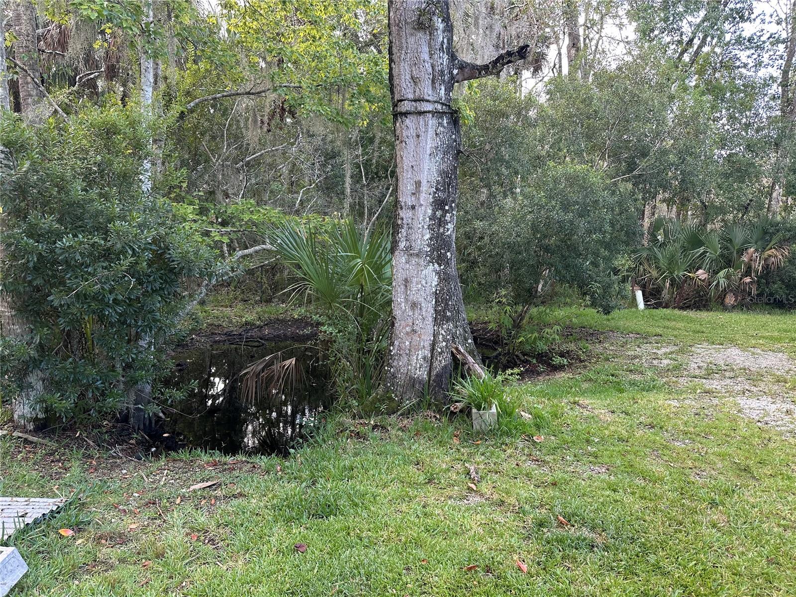 HARDWOOD HAMMOCK UNREC - Residential