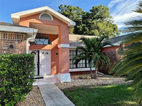 A home in VALRICO