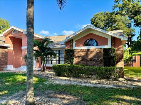 A home in VALRICO