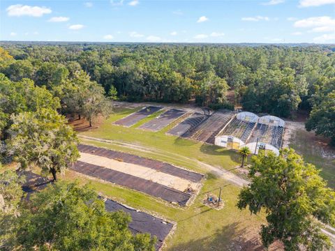 Tiny photo for 16876 NE 30th Court, Citra, FL 32113 (MLS # OM712342)