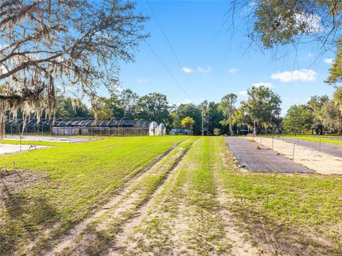 Tiny photo for 16876 NE 30th Court, Citra, FL 32113 (MLS # OM712342)