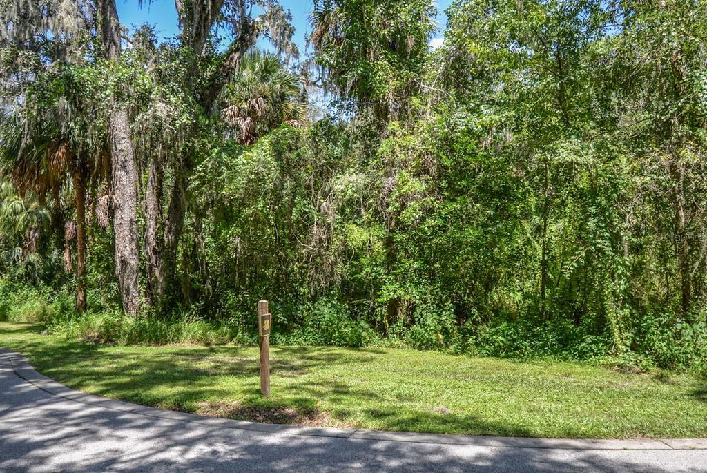 Photo of 4808 Rambling River Road, Brandon, FL 33511 (MLS # T3551852)
