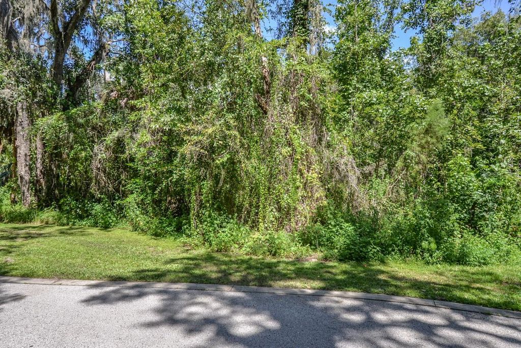 Photo of 4808 Rambling River Road, Brandon, FL 33511 (MLS # T3551852)