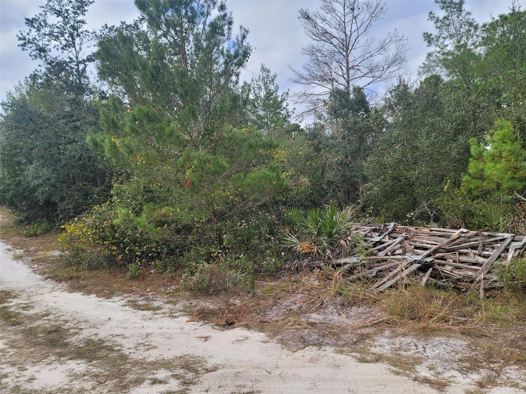 Photo of Cooter Pond Road, Deland, FL 32720 (MLS # O6155271)