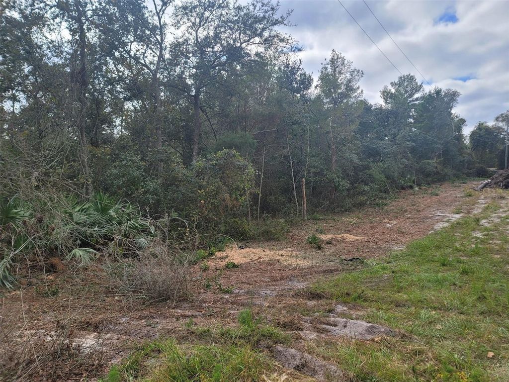 Photo of Cooter Pond Road, Deland, FL 32720 (MLS # O6155271)