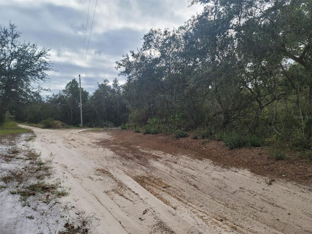 Photo of Cooter Pond Road, Deland, FL 32720 (MLS # O6155271)