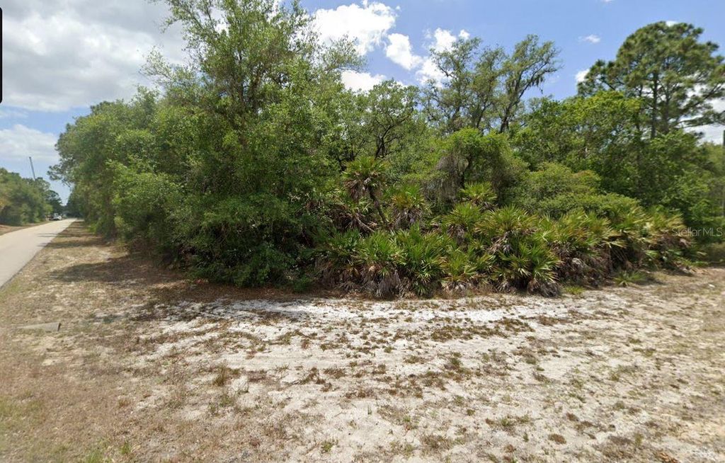 Photo of 2305 Dodge Street, Port Charlotte, FL 33948 (MLS # A4655619)