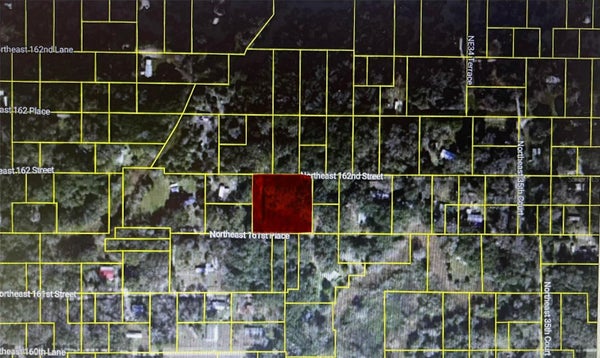 NE 163RD PL, CITRA, FL 32113 - Image ec783323dcb9e7b7da83f3fde18ee7e6/3844548203