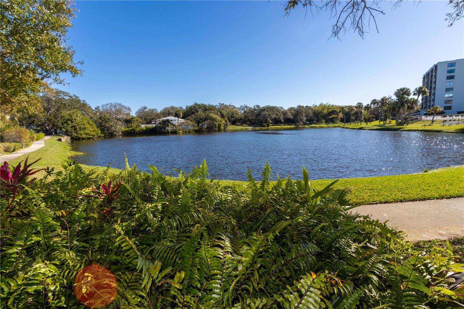 BELLEVIEW BILTMORE VILLAS BAYSHORE I - Residential