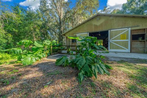 Tiny photo for 399 NE 155th Place, Citra, FL 32113 (MLS # OM712656)