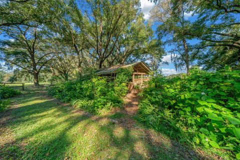 Tiny photo for 399 NE 155th Place, Citra, FL 32113 (MLS # OM712656)