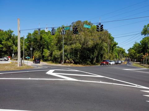 Tiny photo for Niles Street, Mount Plymouth, FL 32776 (MLS # O6096375)