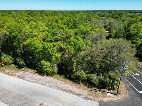 Tiny photo for Niles Street, Mount Plymouth, FL 32776 (MLS # O6096375)