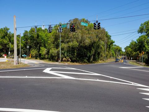 Tiny photo for Niles Street, Mount Plymouth, FL 32776 (MLS # O6096375)