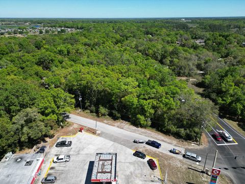 Tiny photo for Niles Street, Mount Plymouth, FL 32776 (MLS # O6096375)