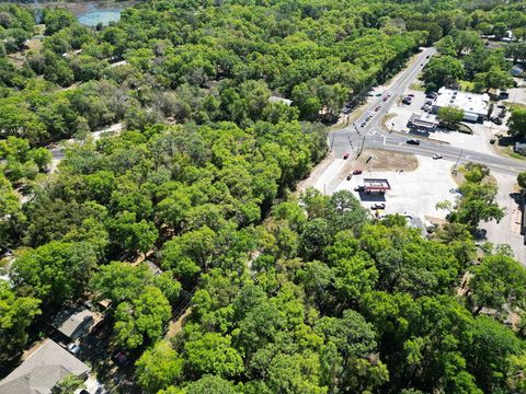 Tiny photo for Niles Street, Mount Plymouth, FL 32776 (MLS # O6096375)